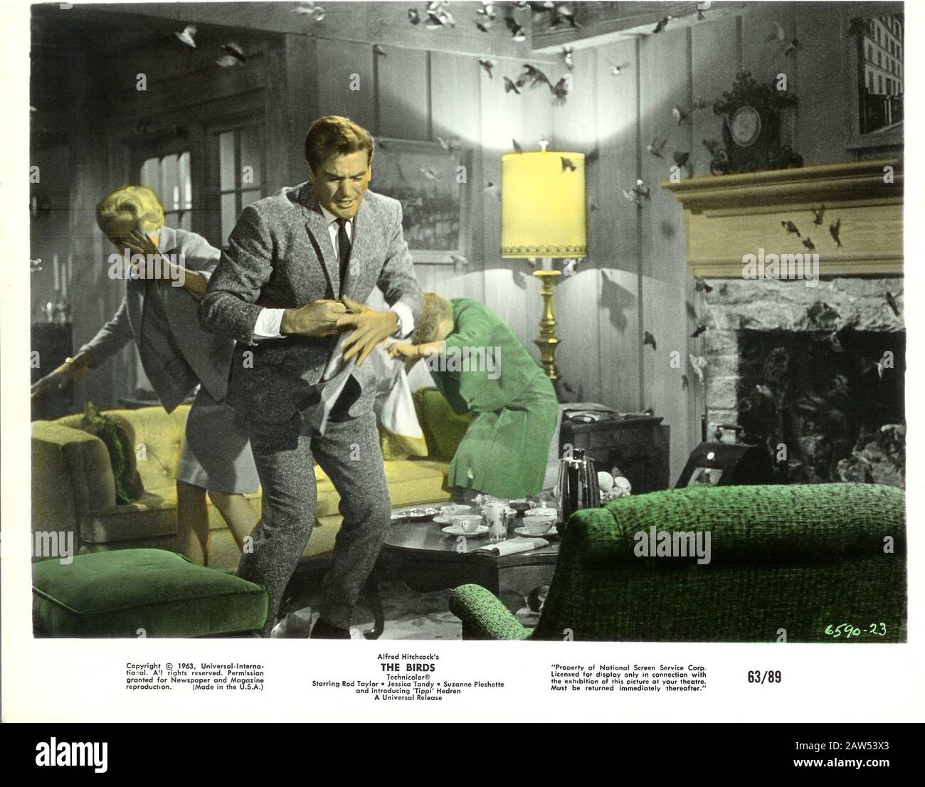 1963 , Etats-Unis : ALFRED HITCHCOCK ( 1899 - 1980 ) film LES OISEAUX ( Gli uccelli - 1963 ) pubblica Still , d'un roman de Daphne du Maurier ( 1953 ), Banque D'Images