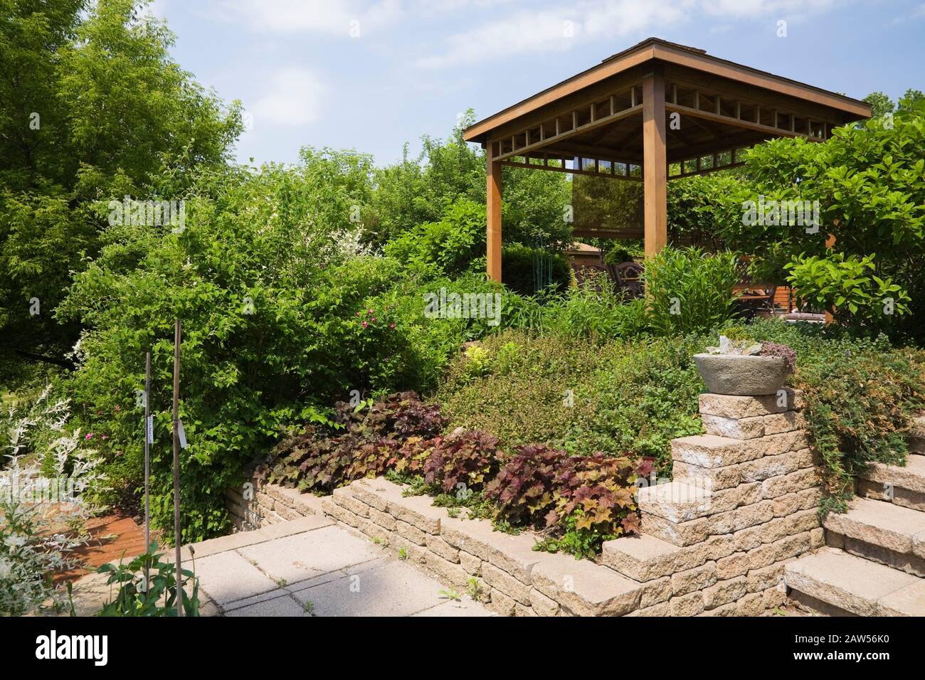 Bordure en pierre surélevée avec Heuchera - fleurs de corail et belvédère en bois brun dans jardin privé arrière-cour à la fin du printemps. Banque D'Images