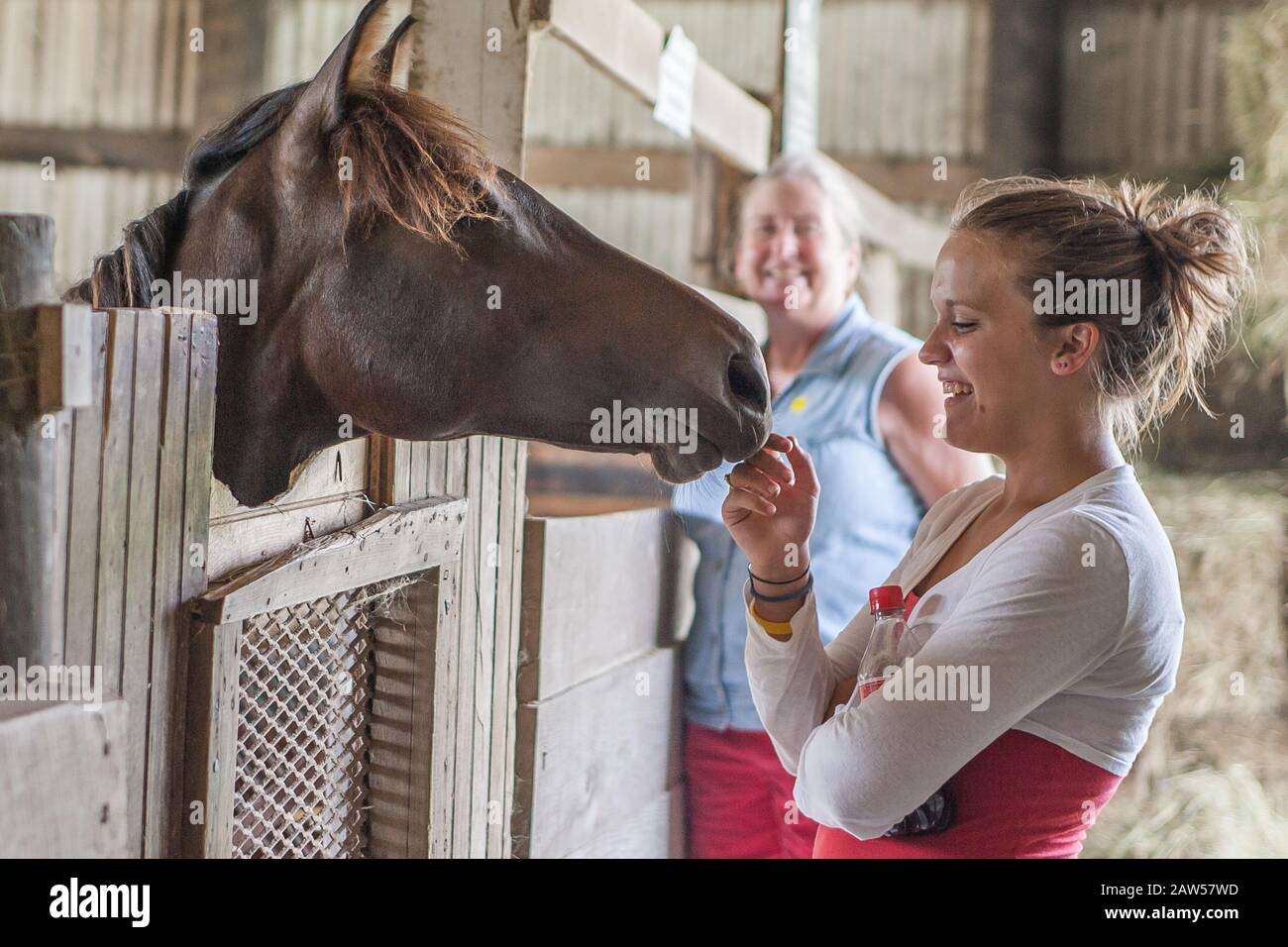 Femme avec un cheval Banque D'Images
