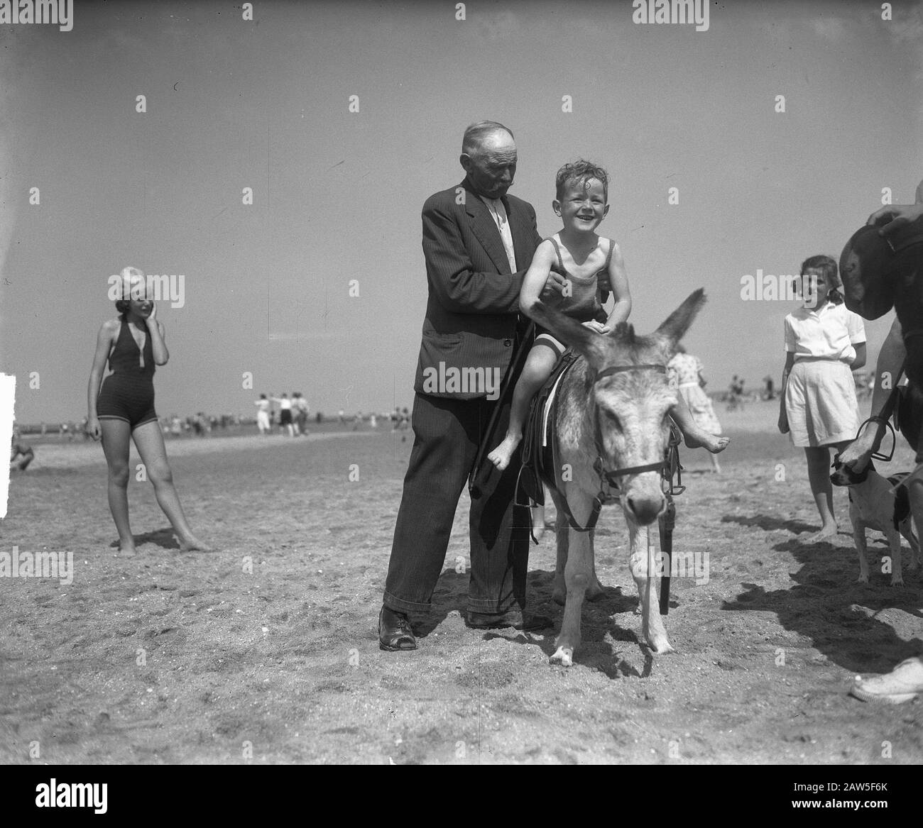 Nutberg 65 avec âne sur la plage de Scheveningen Date : 27 août 1950 lieu : Scheveningen, Zuid-Holland mots clés : Beaches Nom De La Personne : Nutberg Banque D'Images