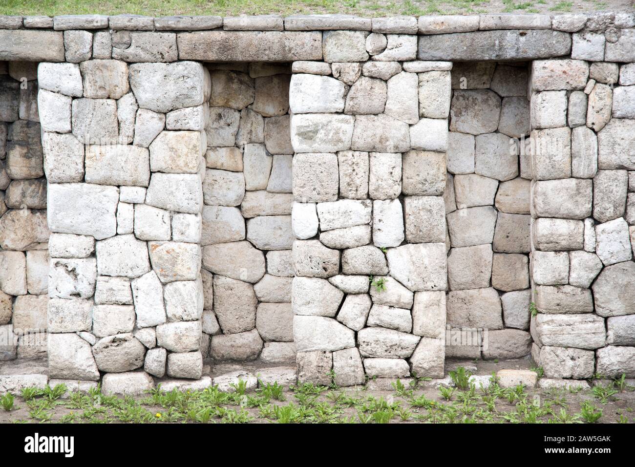 Un lama blanc se trouve sur la colline herbeuse du musée archéologique extérieur de Cuenca, Pumapungo. Banque D'Images