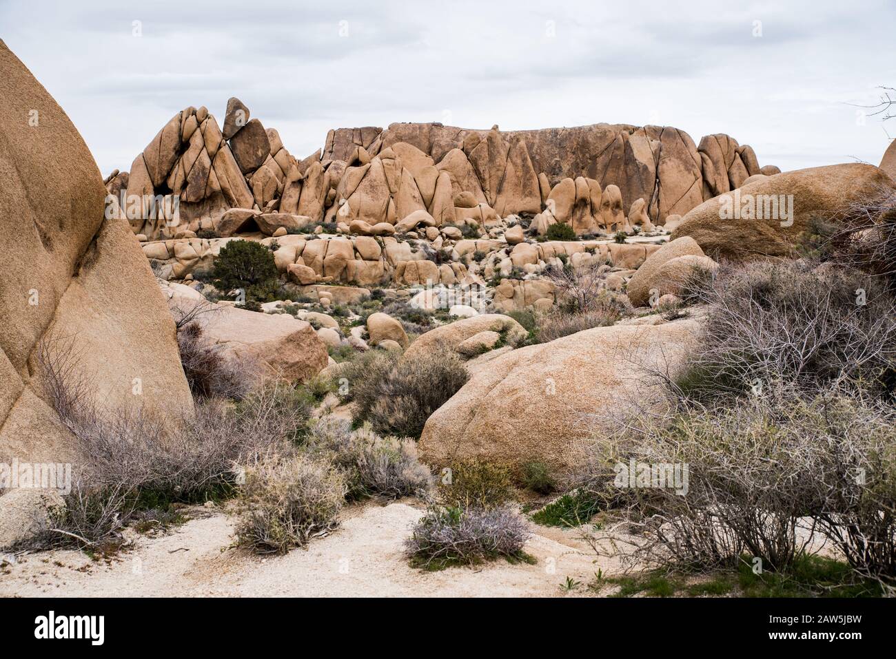Défrichement au milieu de grands rochers dans le désert sous ciel gris Banque D'Images