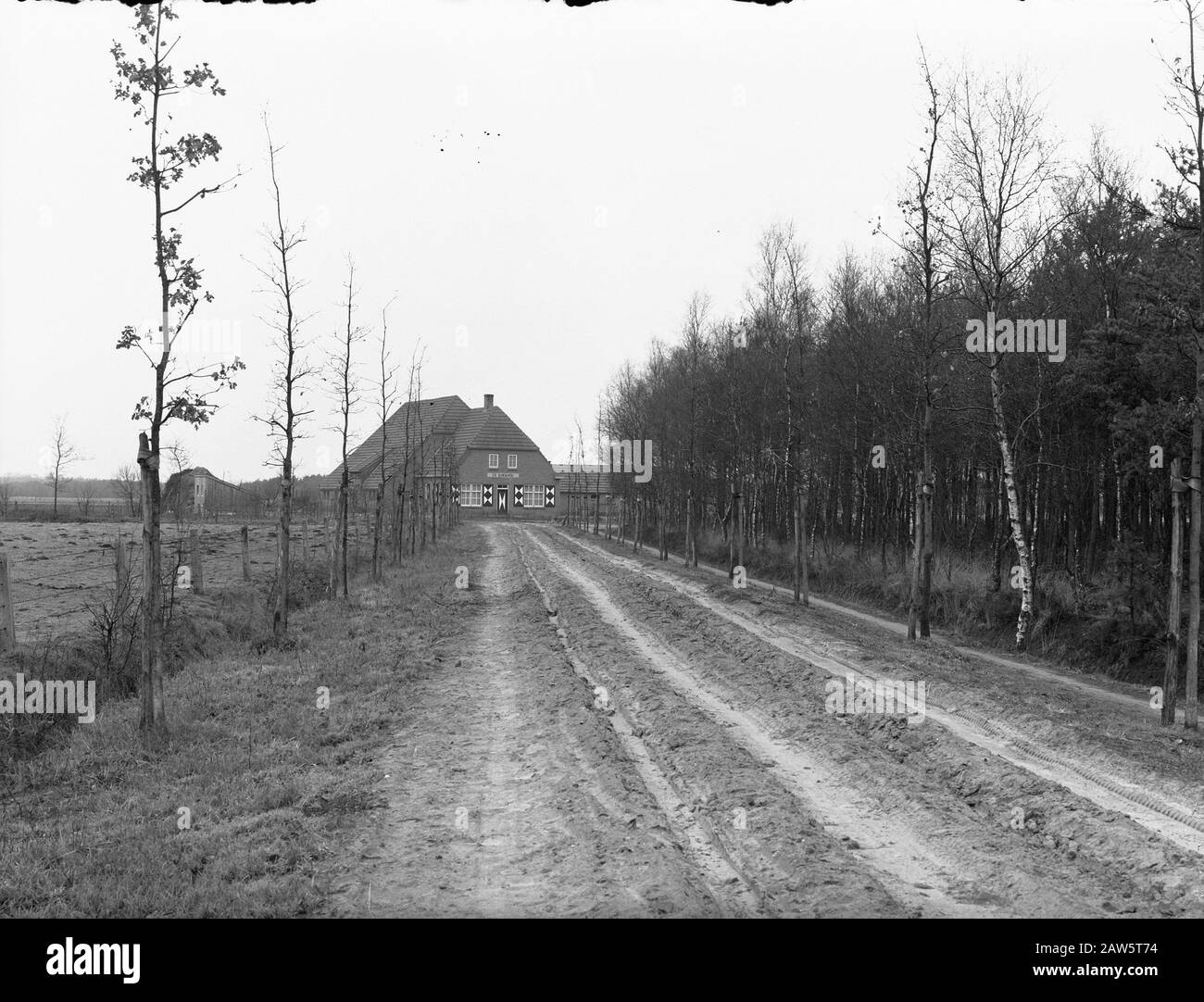 La Propriété D'Utrecht. Farm Cuckoo Annotation: Le domaine doit son nom à la compagnie d'assurance-vie Utrecht, Insurance NV. La société a largement exploité les vastes landes à partir de 1898. Le 25 mai 1899, un départ a été fait avec l'exploitation minière des 700 premiers hectares. Les travaux ont été réalisés par le Heidemij. Finalement, la santé a été convertie en 1 800 hectares de forêt et 600 hectares de terres arables, et en outre, elle a continué d'exister même 400 hectares de nature. Date: Non daté lieu: Esbeek mots clés: Fermes, bâtiments Banque D'Images