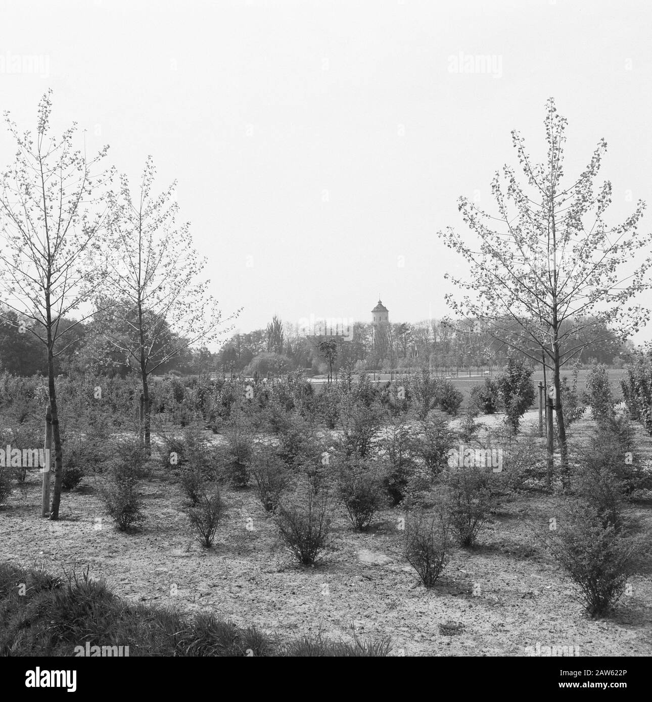 Loisirs, parcs Date : mai 1960 lieu : Coevorden, Drenthe mots clés : Parcs, loisirs Banque D'Images