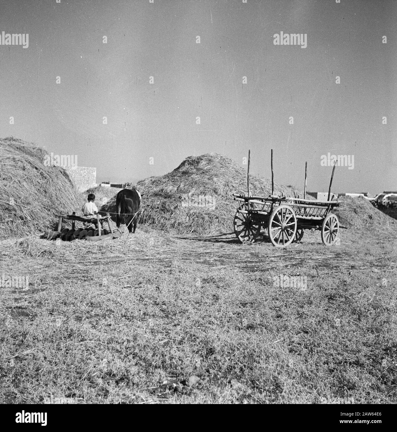 Chariots d'agriculture, haystacks, enfants, animaux Date: Non daté mots clés: Animaux, haystacks, enfants, chariots de ferme Banque D'Images