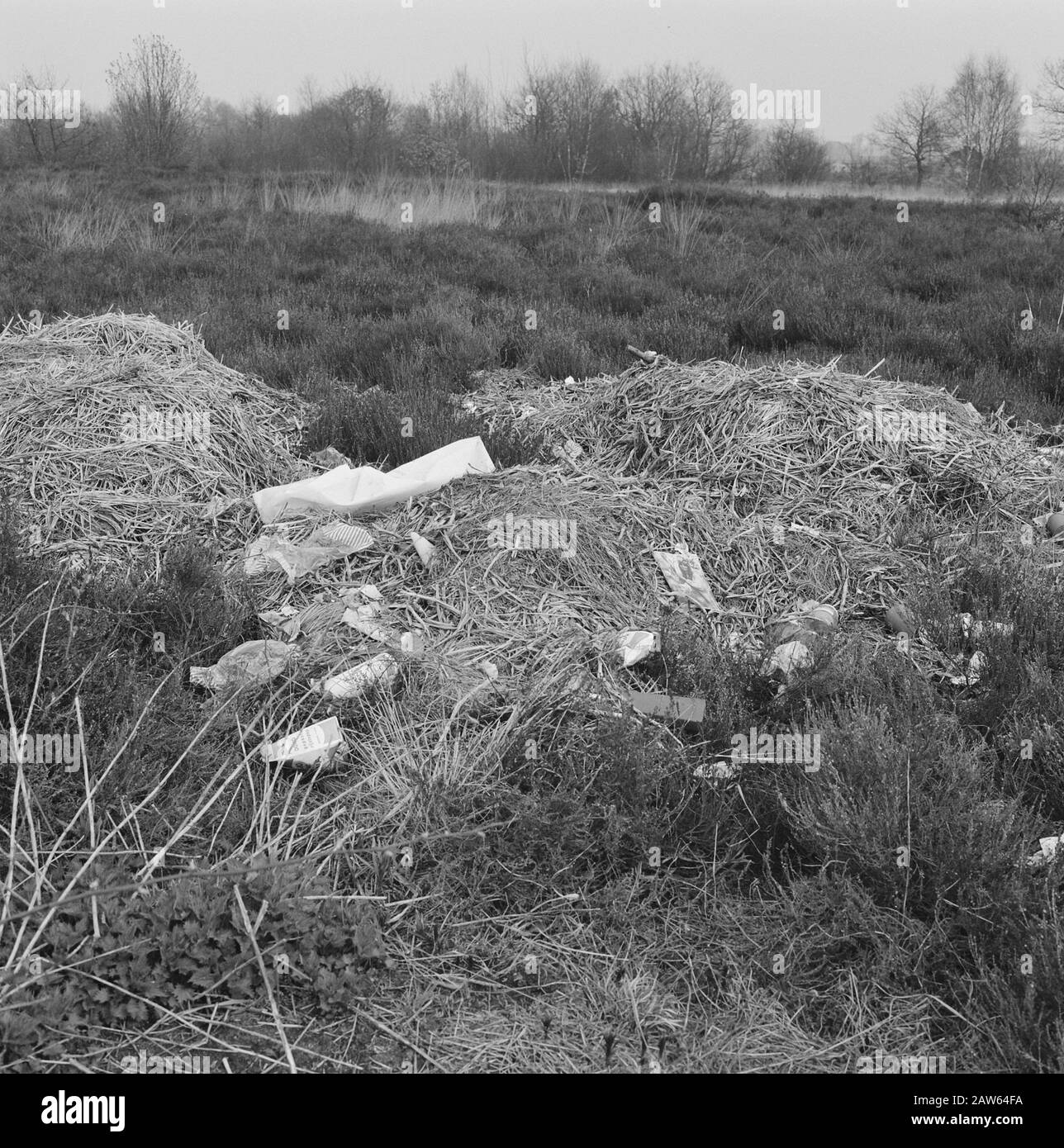 Date de pollution : non daté mots clés : pollution Banque D'Images Date de pollution : non daté mots clés : pollution Banque D'Images