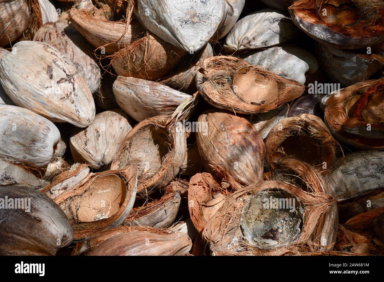 Pile de coques de noix de coco vides. Banque D'Images