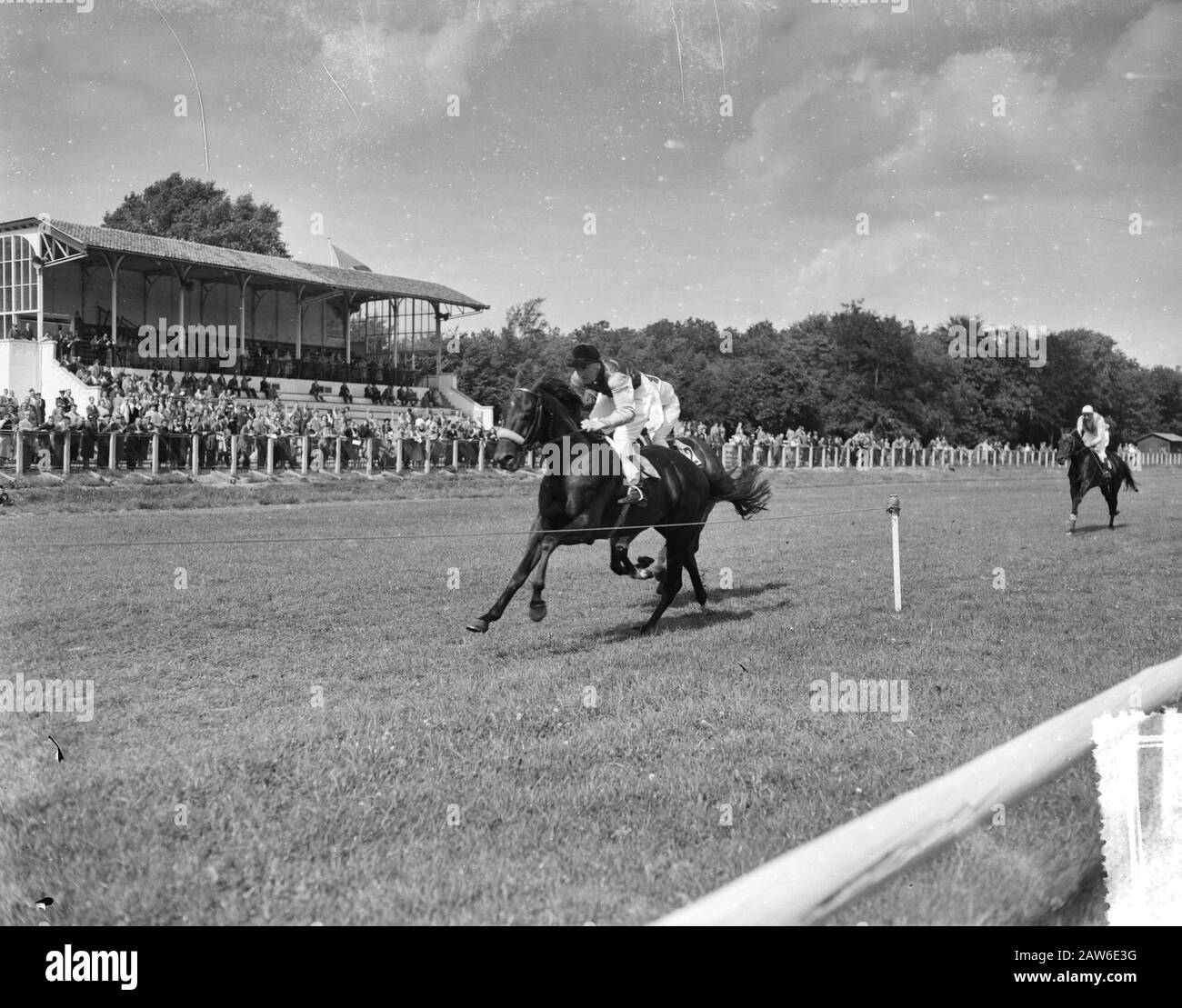 Course De Chevaux Sur Duindigt Date: 12 Août 1956 Lieu: La Haye, Pays-Bas Nom De L'Institution: Duindigt Banque D'Images