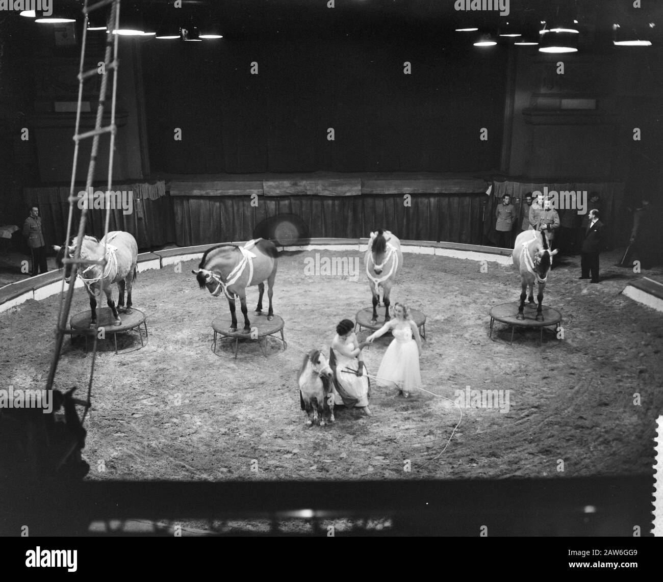 Nouveau programme Circus Strassburger carré, dressage Date: 4 février 1959 lieu: Amsterdam, Noord-Holland mots clés: Cirque, dressage, chevaux Nom De La Personne: Circus Strassburger : Bilsen, Joop van / Anefo Copyright Holder: National Archives Type de matériel: Négatif (noir / blanc) numéro d'inventaire: Voir accès 2.24.01.04 Banque D'Images