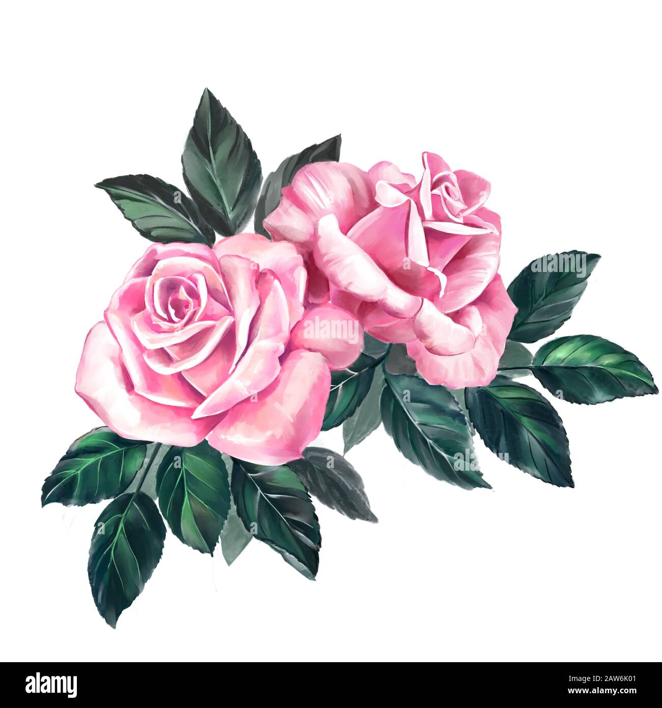 fleur rose rose avec feuilles vertes, illustration d'art peinte avec des aquarelles isolées sur fond blanc. Banque D'Images