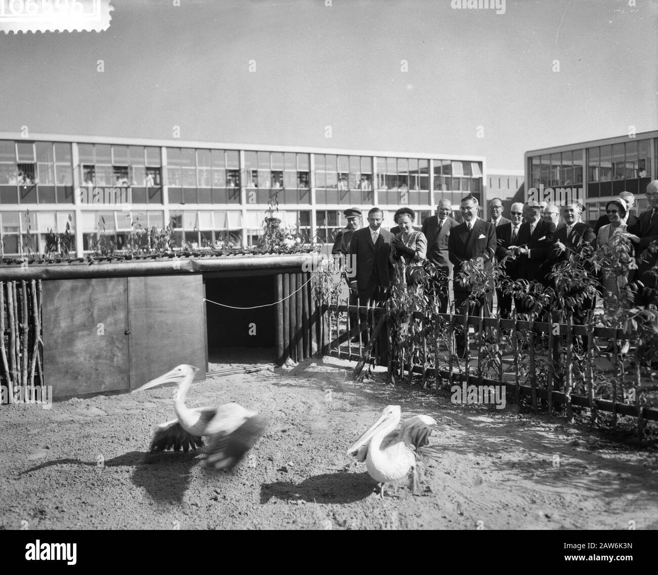 La reine Juliana et le prince Bernhard visitent le laboratoire central du service de transfusion sanguine. Queen Juliana a ouvert le laboratoire par deux pélicans libération à ce jour: 8 septembre 1959 lieu: Amsterdam, Noord-Holland mots clés: Transfusions de sang, reines, laboratoires, pélicans Personne Nom: Bernhard (prince Pays-Bas), Juliana (Queen Pays-Bas) Banque D'Images