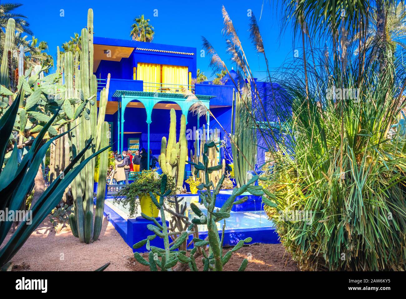 Le magnifique Jardin Majorelle est un jardin botanique, le jardin tropical et l'artiste jardin paysage à Marrakech, Maroc. Banque D'Images