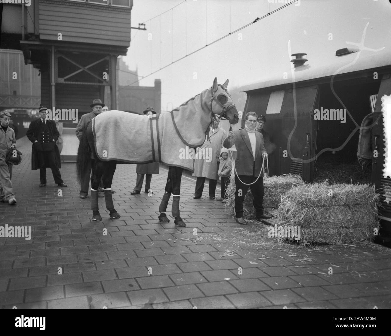 Course hipple Hairos II Grand Prix à Milan Date : 24 novembre 1959 lieu : Amsterdam mots clés : chevaux de trotting et de course, gares, trains Banque D'Images