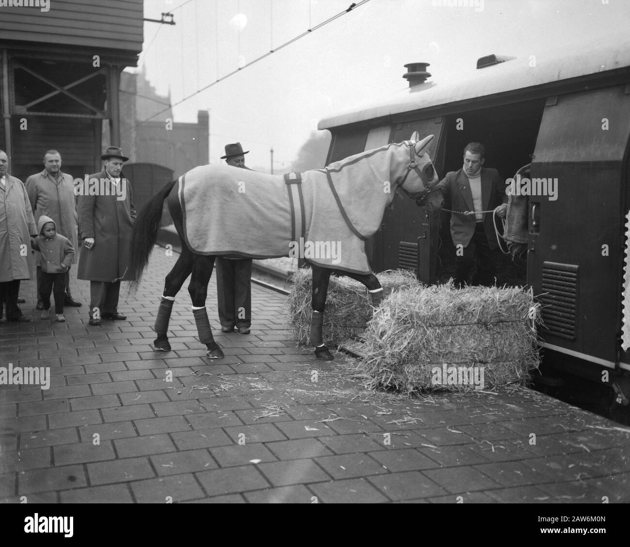 Course hipple Hairos II Grand Prix à Milan Date : 24 novembre 1959 lieu : Amsterdam mots clés : chevaux de trotting et de course, gares, trains Banque D'Images