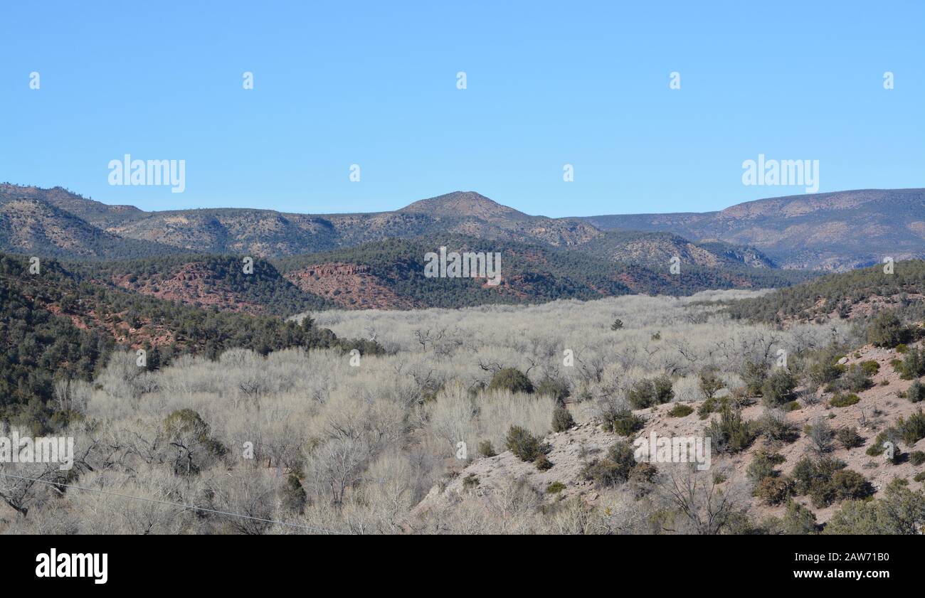 Belle vue d'hiver des Arbres et de la vallée de Cottonwood à Carrizo dans le canyon de Salt River, le comté de Gila, Apache Indian Reservation, l'est de l'Arizona Banque D'Images
