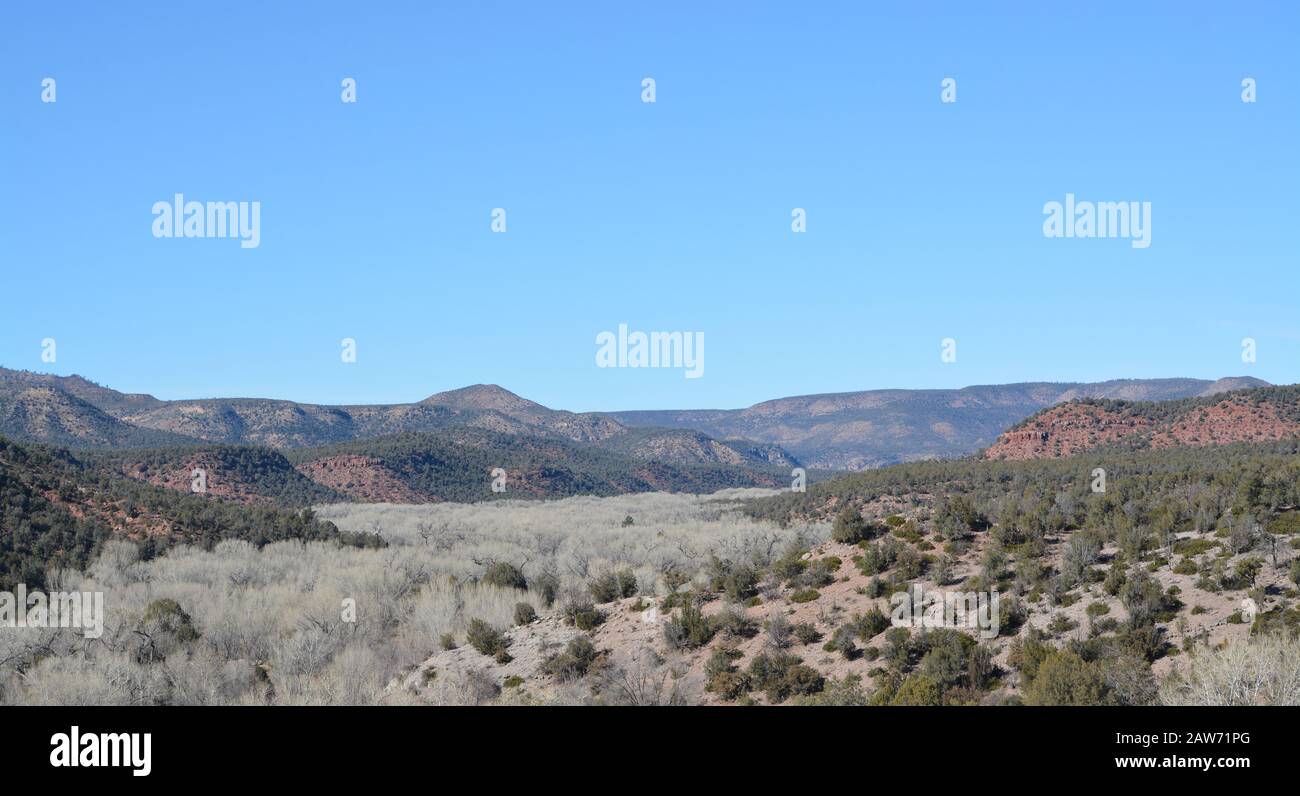 Belle vue d'hiver des Arbres et de la vallée de Cottonwood à Carrizo dans le canyon de Salt River, le comté de Gila, Apache Indian Reservation, l'est de l'Arizona Banque D'Images