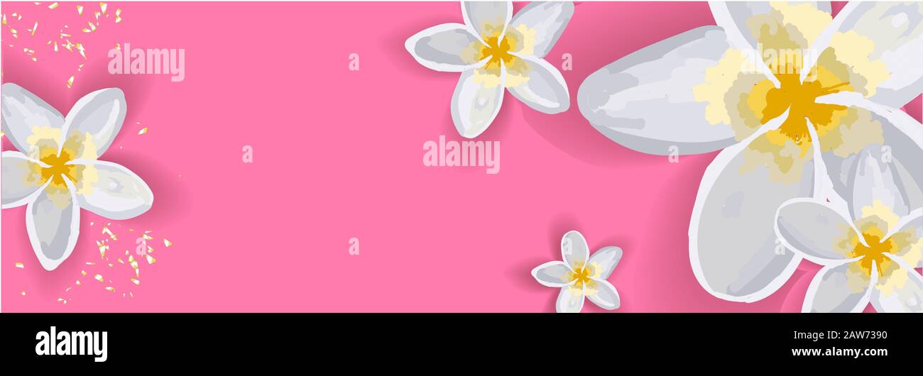 Fond de printemps brillant pour une inscription. Les fleurs sont blanches. Lily. Bannière horizontale sans texte. Illustration de Vecteur