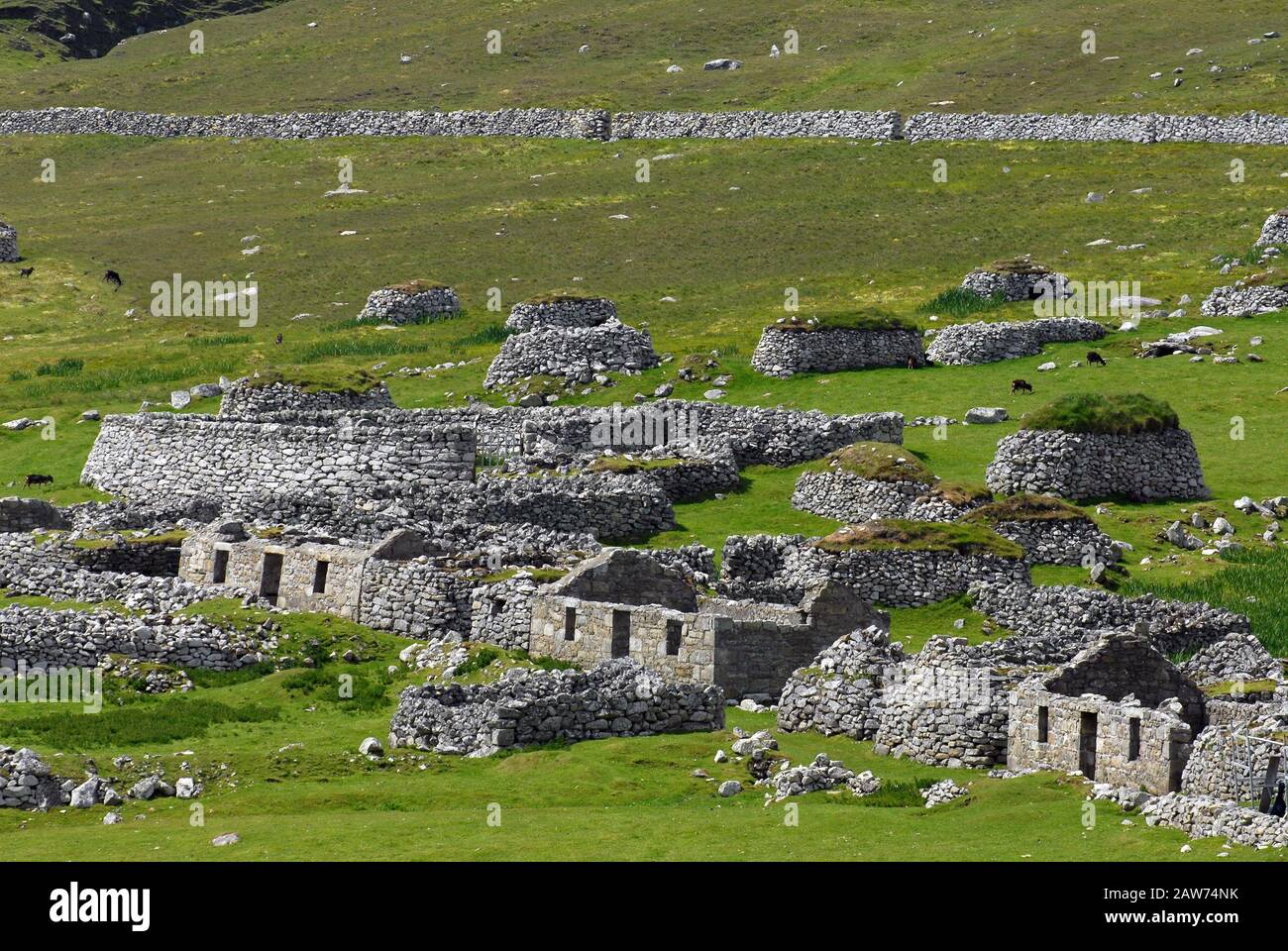 Maisons abandonnées dans VILLAGE BAY, ST KILDA, ECOSSE Banque D'Images