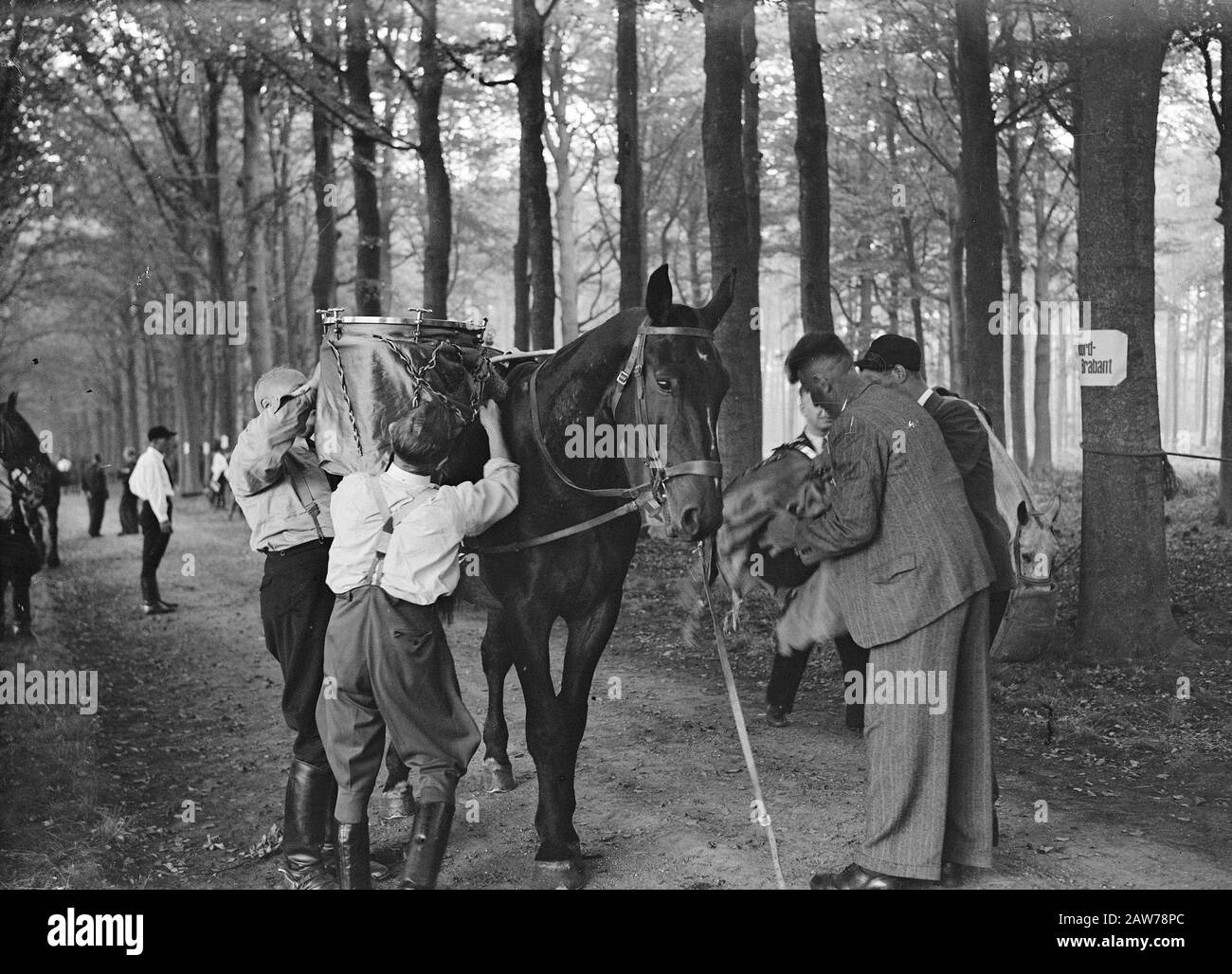 Cavaliers ruraux à Soestdijk Date : 19 septembre 1947 lieu : Soestdijk Utrecht mots clés : cavaliers Banque D'Images