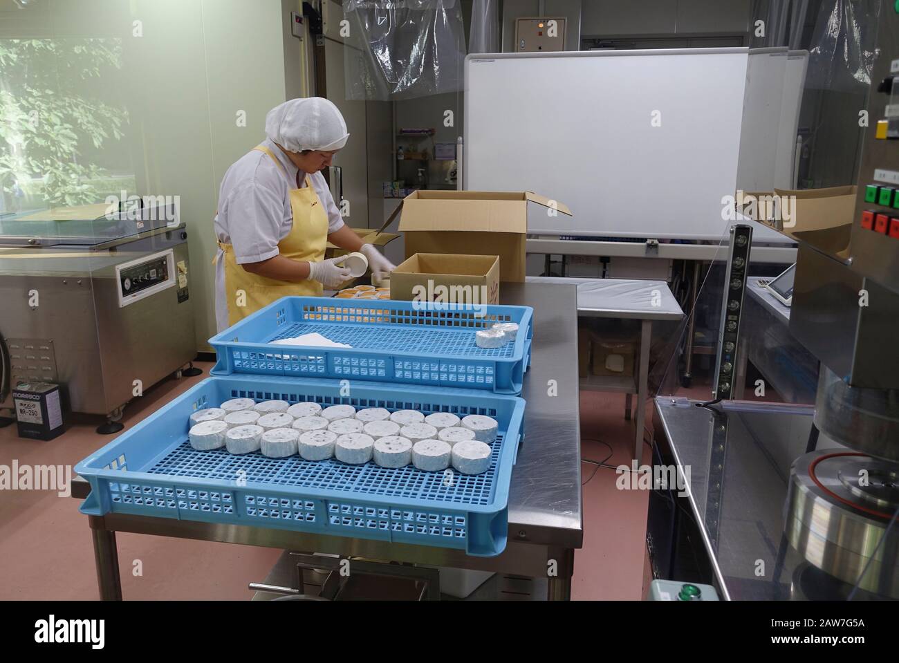 La fabrique de fromage Furano est l'endroit où la crème glacée, le fromage et d'autres produits laitiers sont fabriqués à partir de lait frais de Furano. Banque D'Images