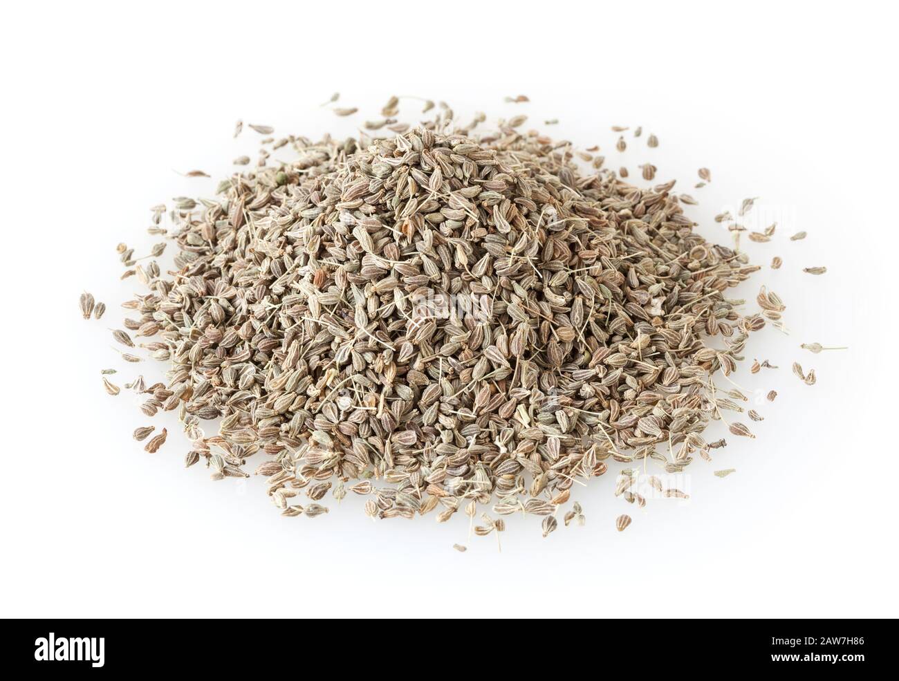 Graines isolé sur fond blanc Banque D'Images