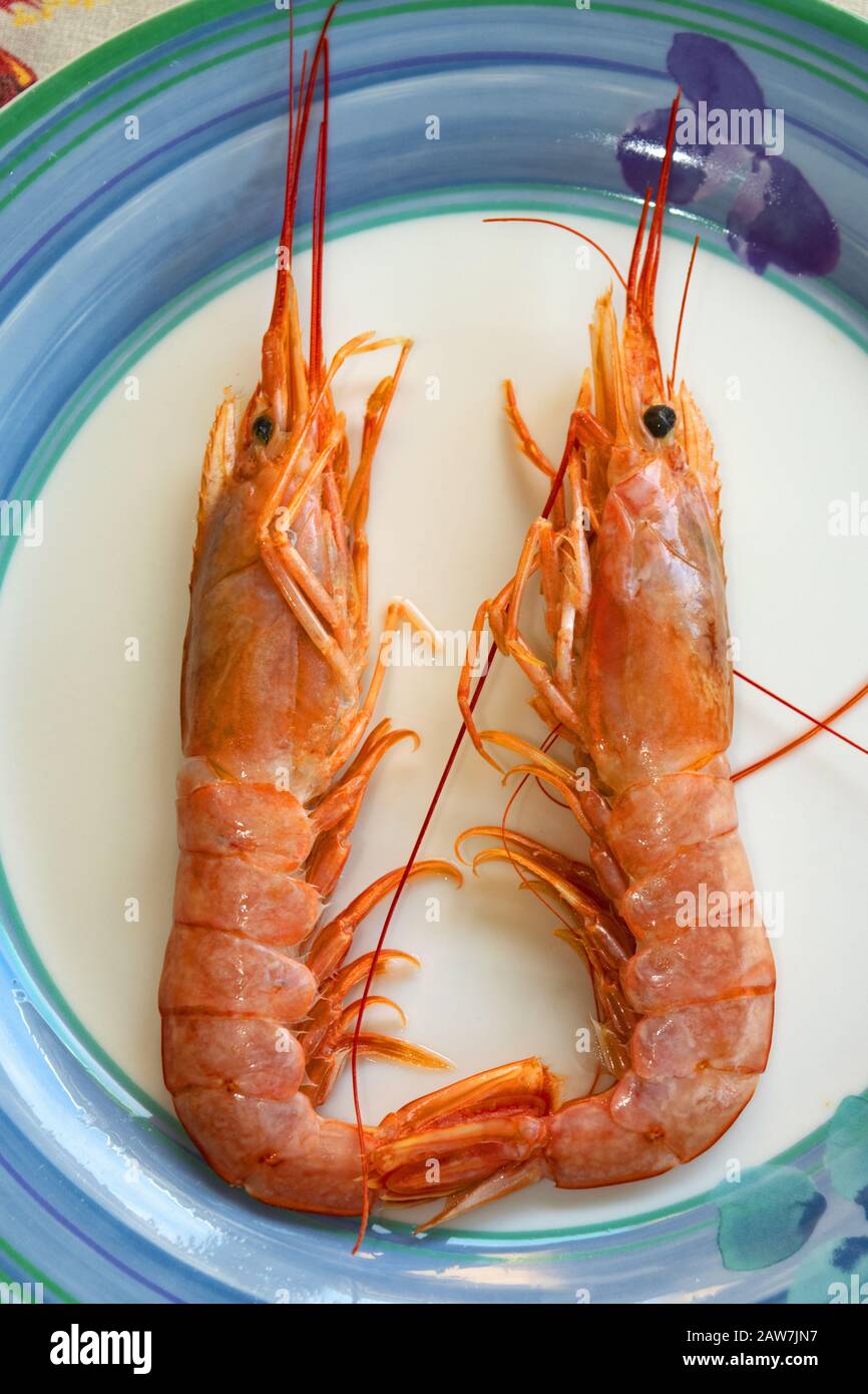 crevettes rouges fraîches dans un plat Banque D'Images