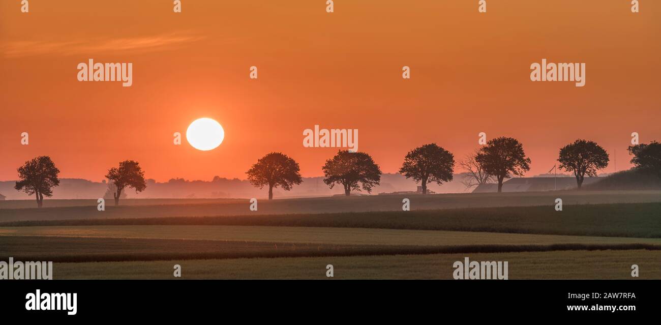 Lever du soleil et ligne de soutien dans le paysage rural à Soderslatt, Skane, Suède, Scandinavie. Banque D'Images