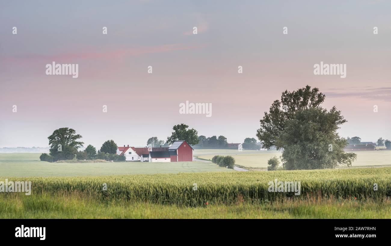 Route et ferme dans le paysage rural à Soderslatt, Skane, Suède, Scandinavie. Banque D'Images