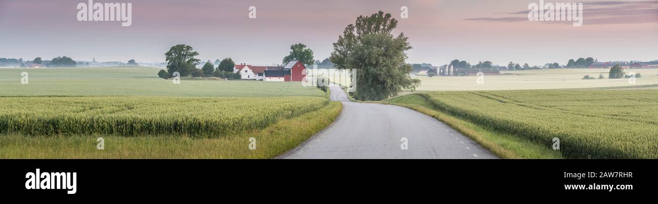 Route et ferme dans le paysage rural à Soderslatt, Skane, Suède, Scandinavie. Banque D'Images