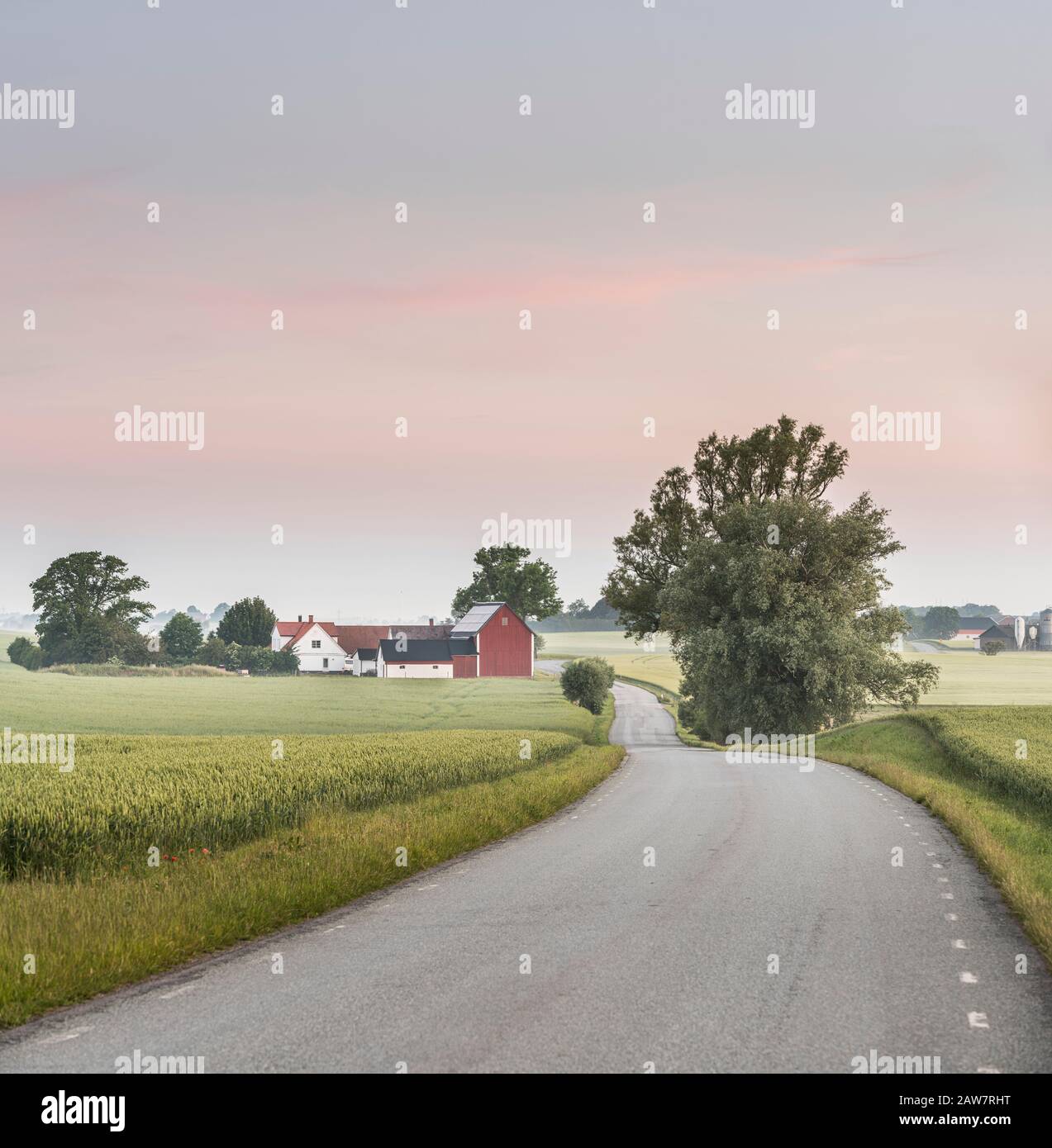 Route et ferme dans le paysage rural à Soderslatt, Skane, Suède, Scandinavie. Banque D'Images