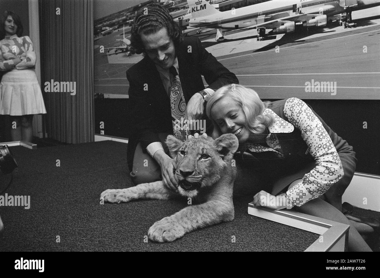 Lioness Aruska à Nairobi Movie gratuit pour Toujours lioness Aruska à l'aéroport avant le départ, Vet gauche AM Visee qu'il a levé, Date: 29 mai 1974 mots clés: Approcher docteurs, films, lions, agents de bord Personne Nom: Visee AM Banque D'Images