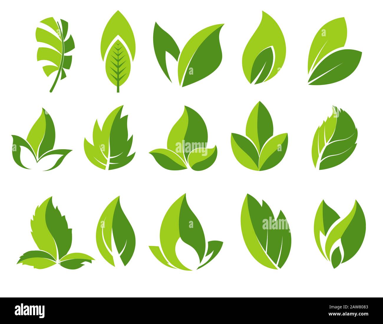 Feuille verte et feuilles abstraites Illustration de Vecteur