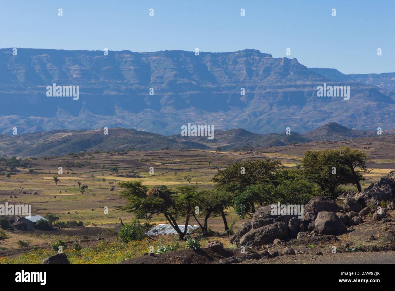 Vue sur la campagne éthiopienne - champs et maisons, sur les collines Banque D'Images