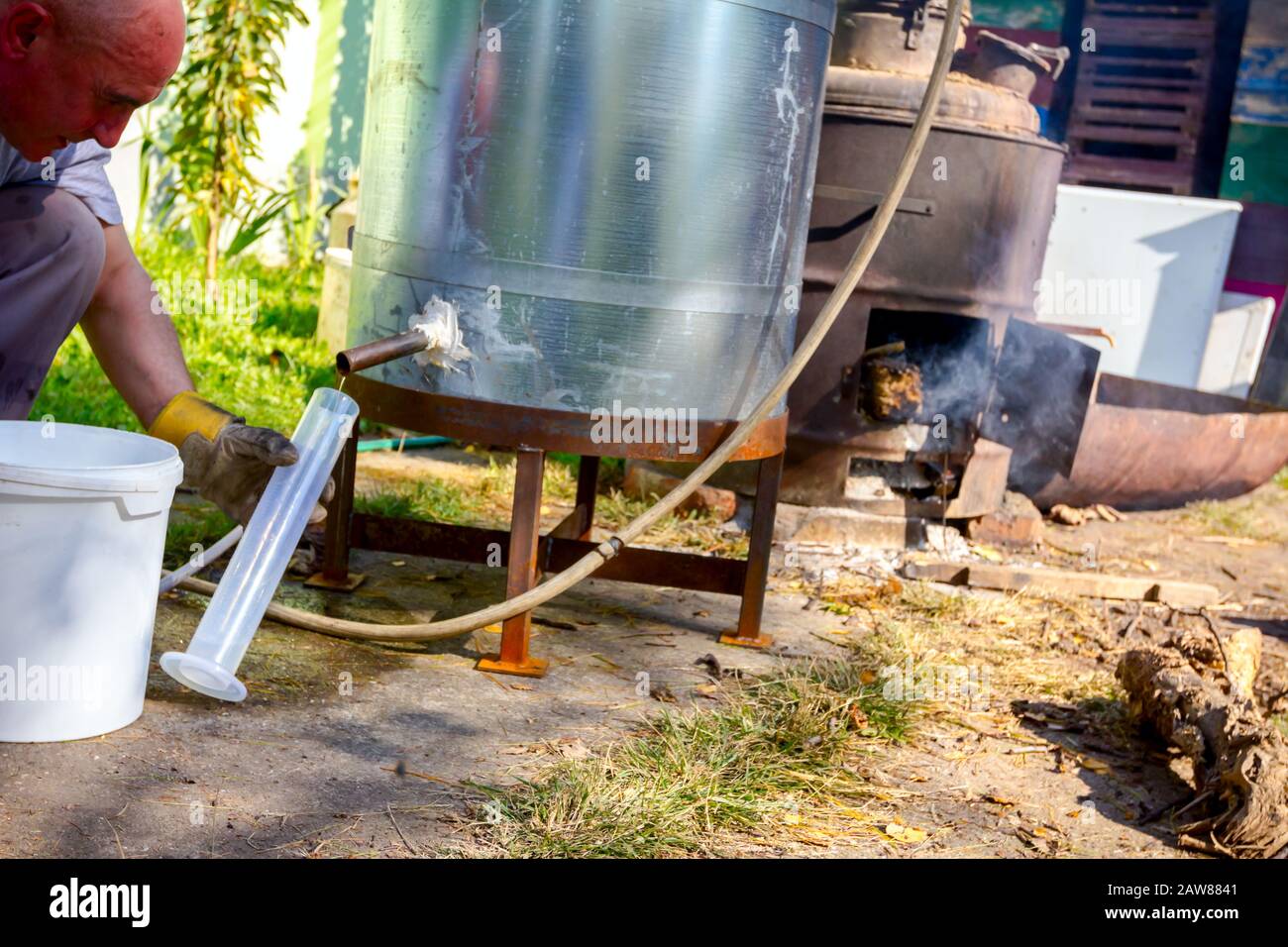 L'homme prend un échantillon de liqueur fraîchement distillée, alcool dans le cylindre gradué de laboratoire. Banque D'Images