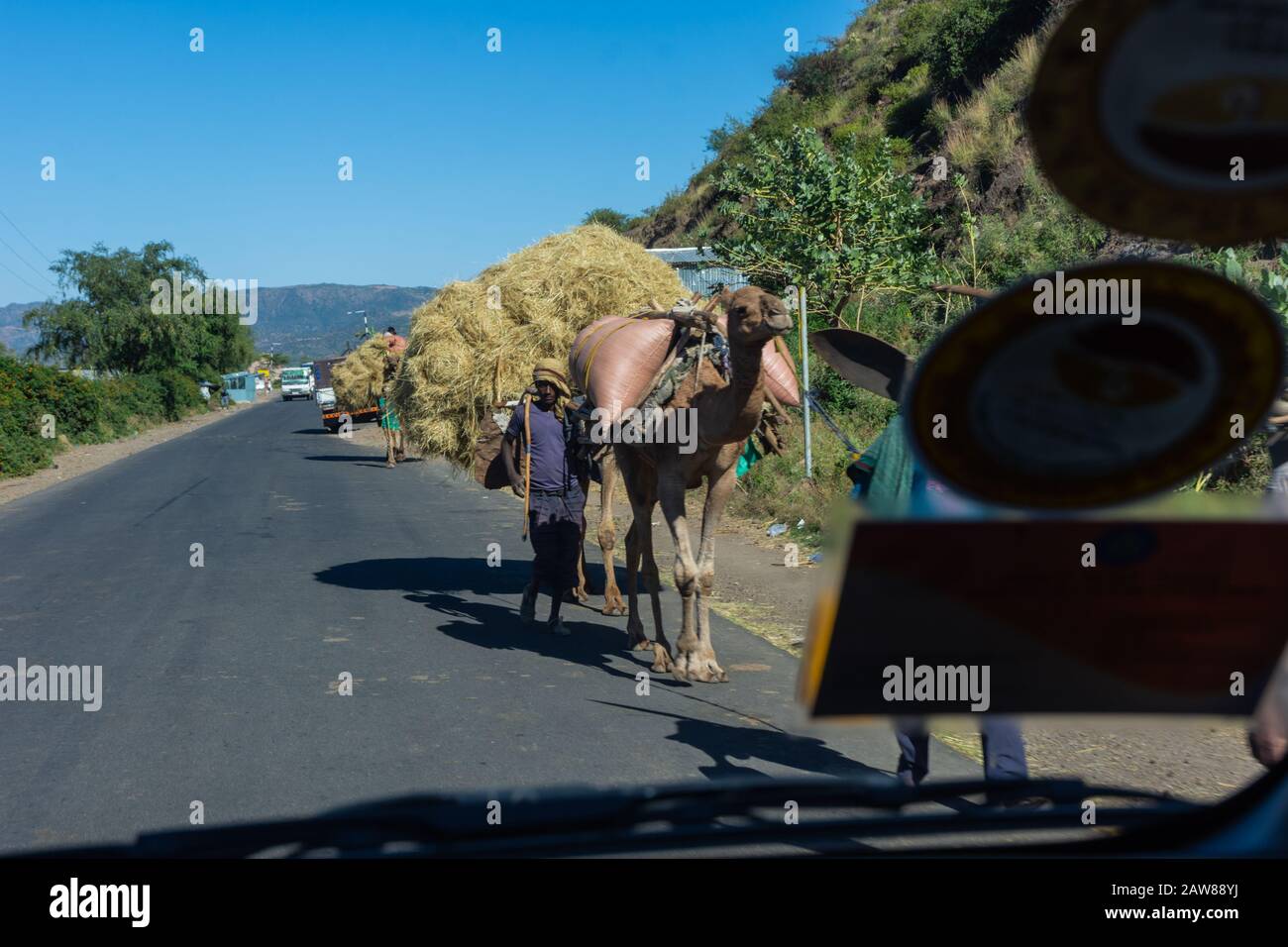 Mekele, Ethiopie - Nov 2018: Chameau transportant beaucoup de foin et être guidé sur une route locale à côté et le passage de camion Banque D'Images