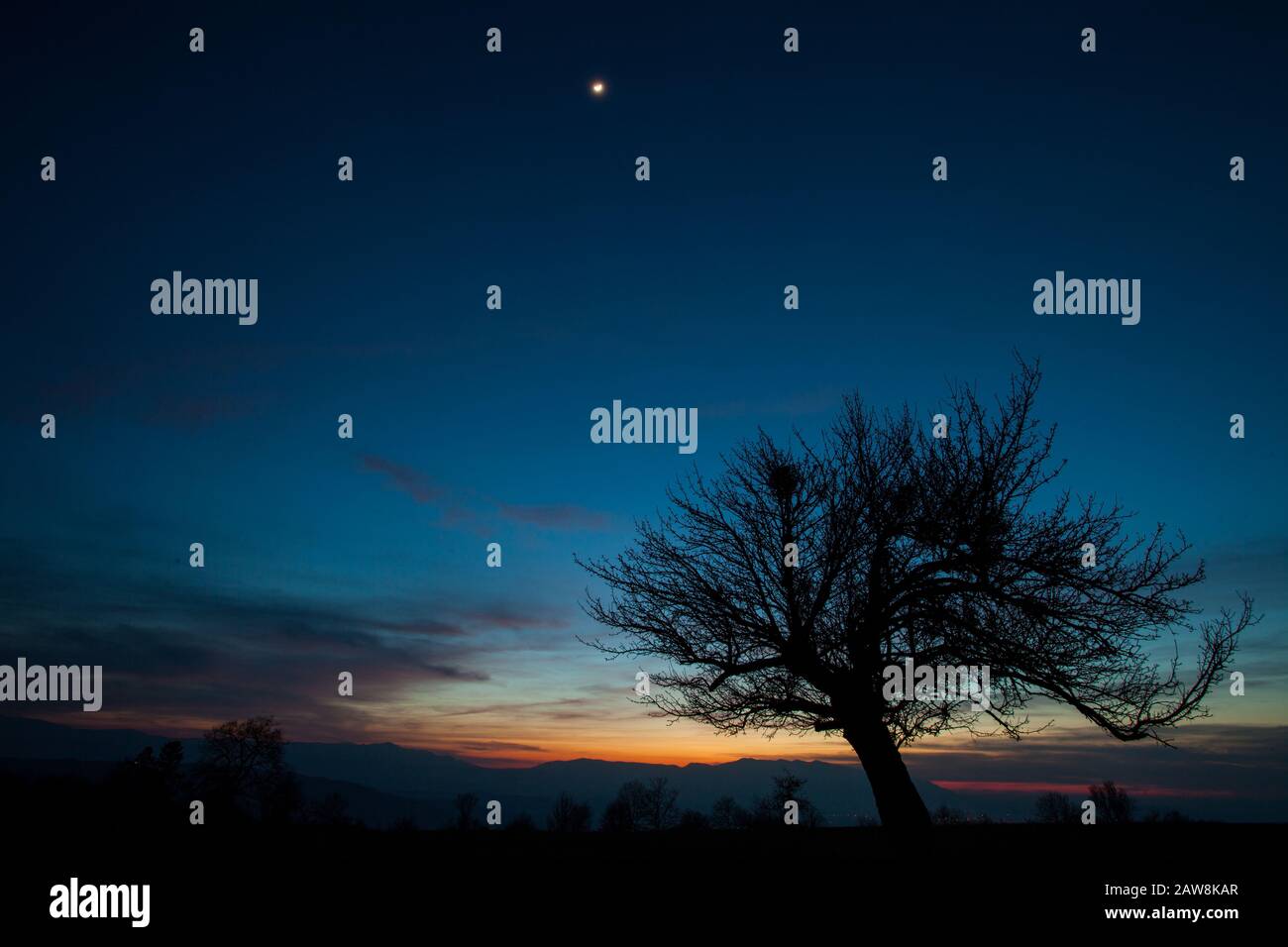 Ombre d'arbre sur le coucher du soleil et le ciel bleu Banque D'Images