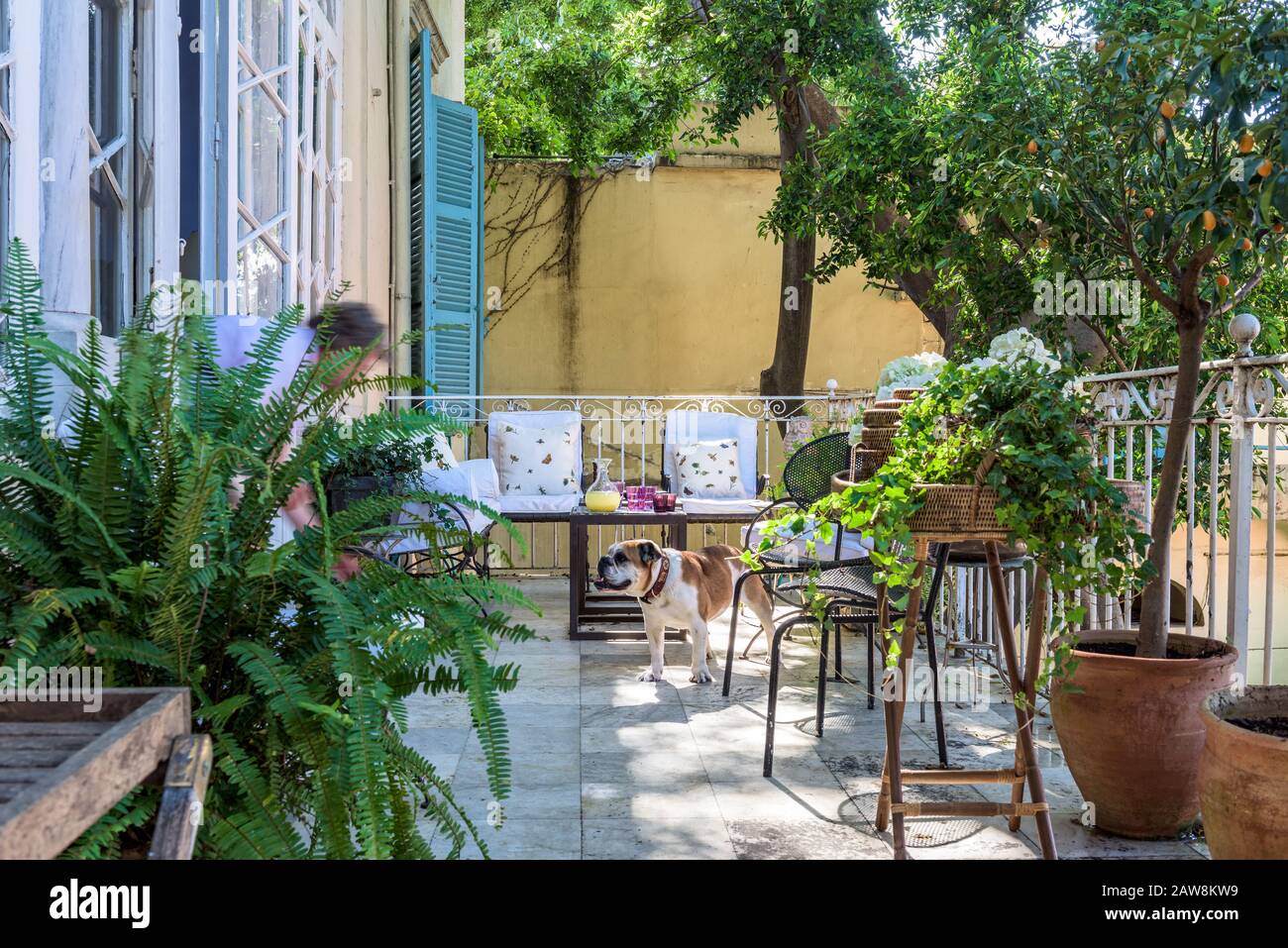 Chaises et plantes en pot sur le balcon Banque D'Images