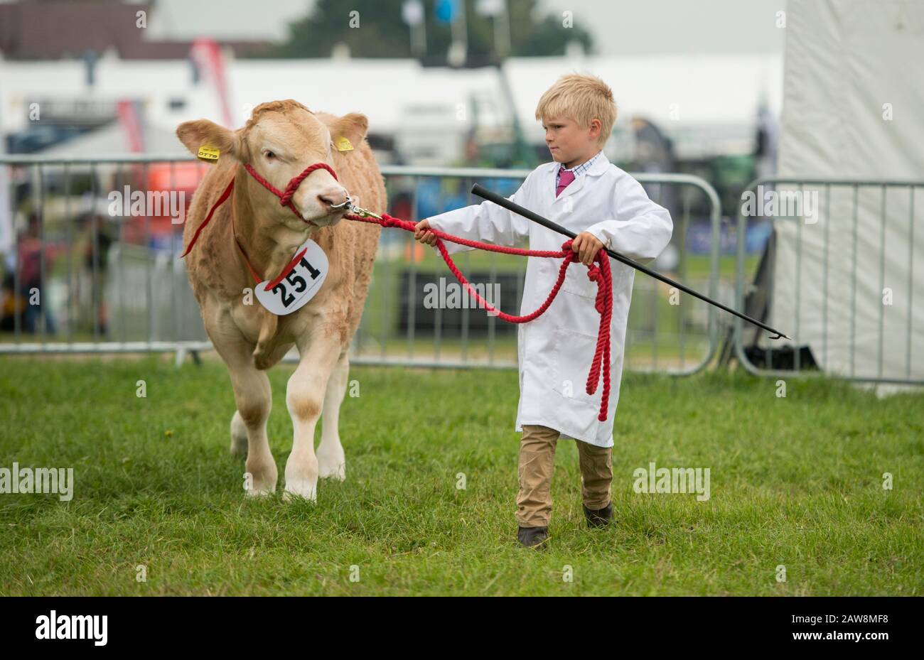 Dorset County Show Banque D'Images