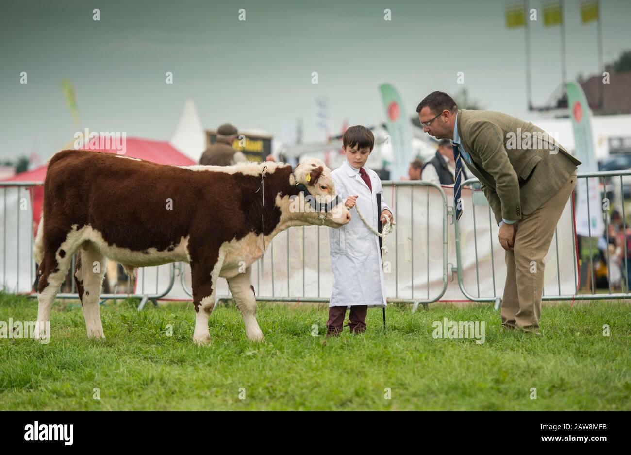 Dorset County Show Banque D'Images