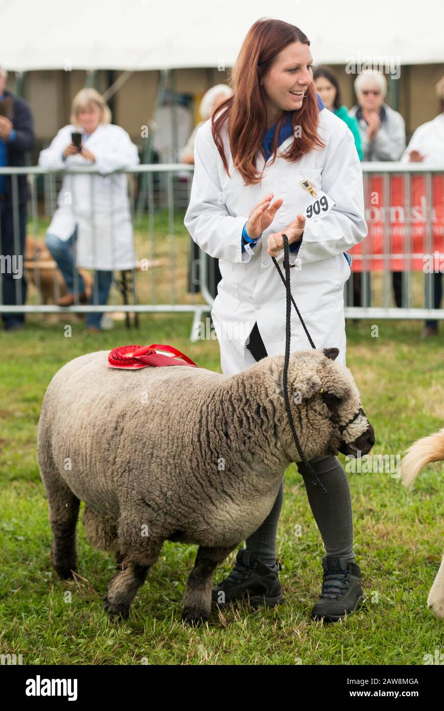 Dorset County Show Banque D'Images