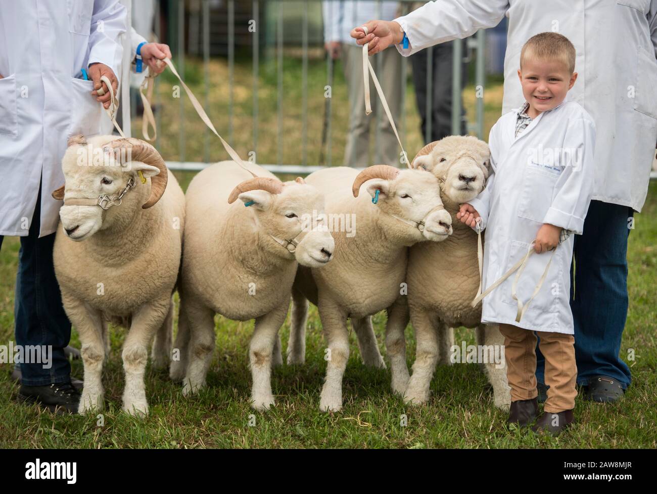 Dorset County Show Banque D'Images