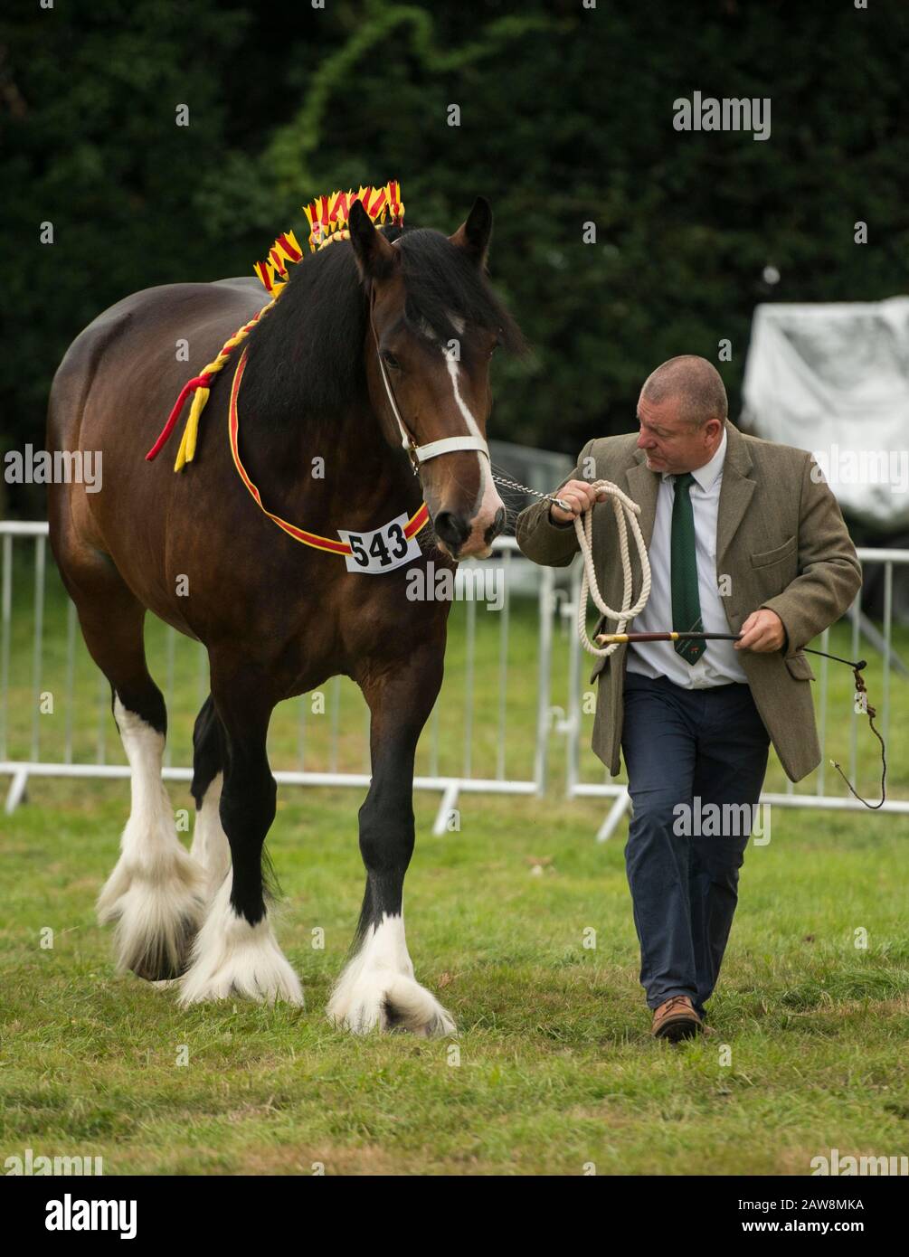 Dorset County Show Banque D'Images