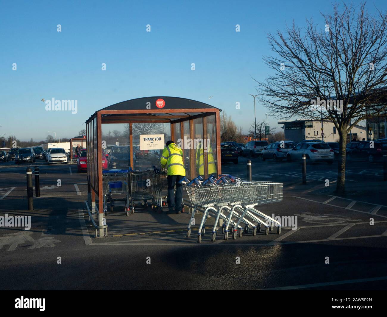 Collection de trolley de supermarché dans le parking Banque D'Images