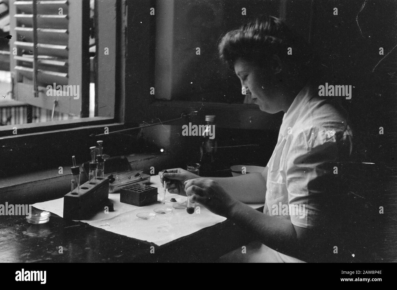 Rapport De La Croix-Rouge À L'Hôpital Batavia Princess Margaret À Batavia. Laboratoire Transfusion Sanguine Date: 9 Février 1949 Lieu: Batavia, Indonésie, Jakarta, Hollandais East Indies Banque D'Images