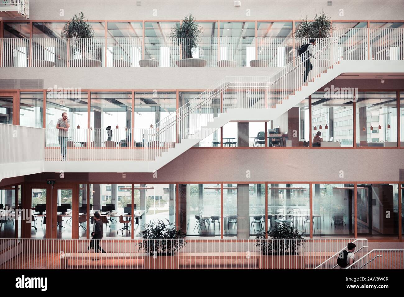 Intérieur du bâtiment Polak sur le campus de l'Université Erasmus Woudesteijn à Rotterdam, aux Pays-Bas Banque D'Images
