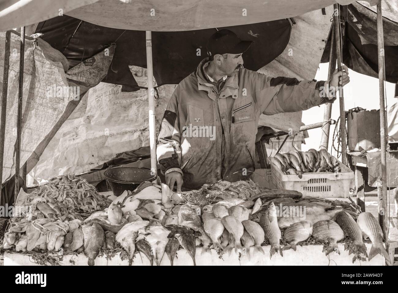 Essaouira, Maroc Fish Vendor Banque D'Images
