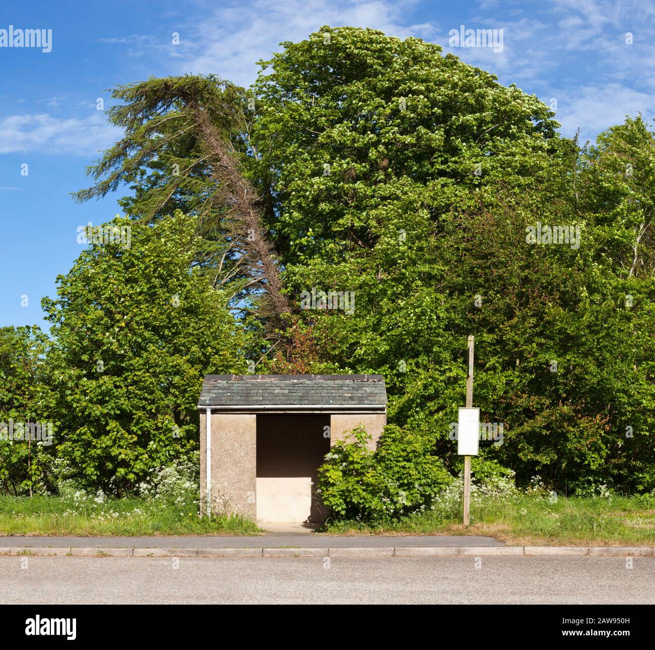 Petit arrêt de bus rural et abri de bus avec panneau vide, Angleterre Royaume-Uni Banque D'Images