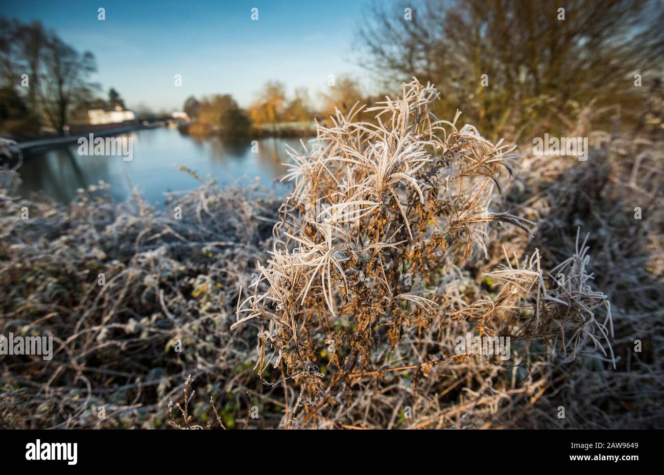 Devizes, écluses de Cean Hill, un matin glacial Banque D'Images