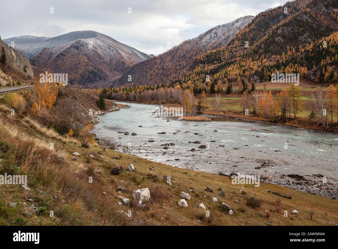 Automne République de l'Altaï rivière Katun Chuya tractus Banque D'Images