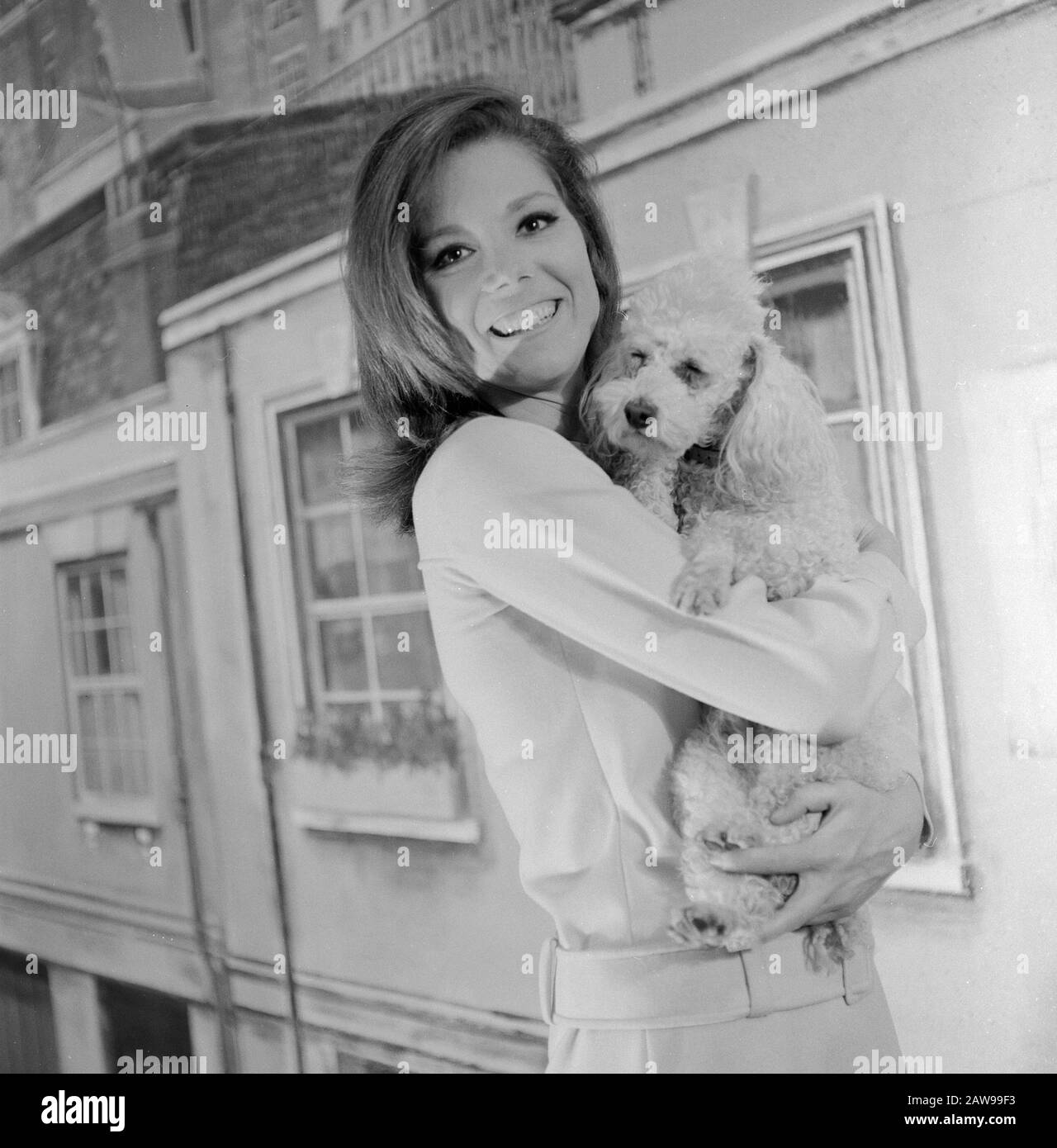 Diana Rigg, britische Schauspielrin, bekannt aus der Fernsehserie 'it Schirm, charme und Melone', à Hambourg; Deutschland um 1966. L'actrice britannique Diana Rigg, connue de la série télévisée "Les Avengers", à Hambourg, en Allemagne vers 1966. Banque D'Images